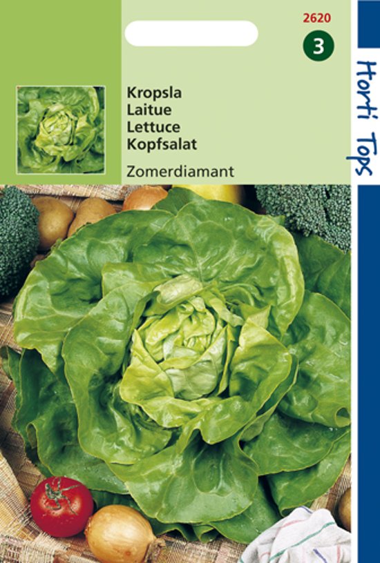 Lettuce Summer Diamant (Lactuca) 1600 seeds